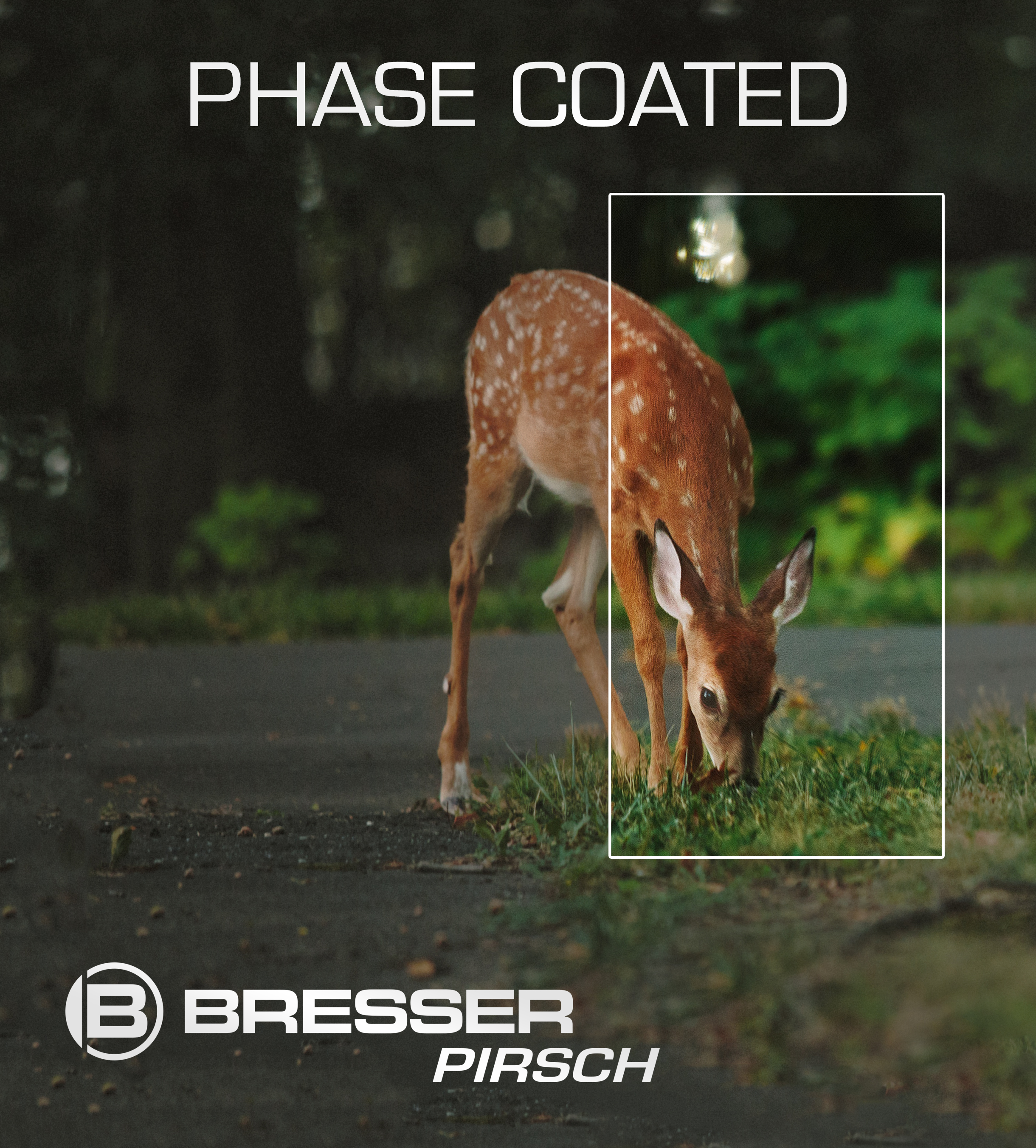 BRESSER Pirsch 10x42 Binocular Phase Coating